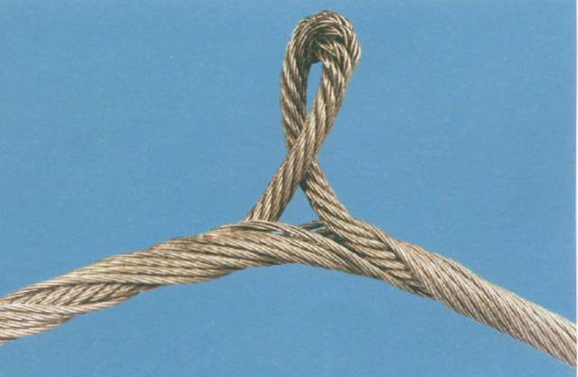 1694006197269250.jpg 13.jpg